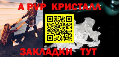стаф Берёзовский