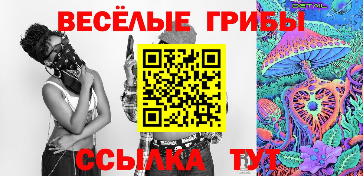 Псилоцибиновые грибы прущие грибы Кольчугино