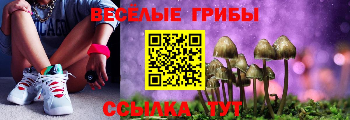 Меф Кольчугино